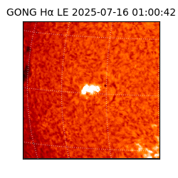 gong - 2025-07-16T01:00:42