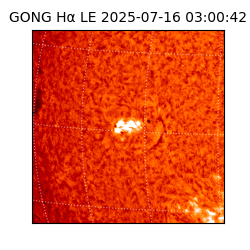 gong - 2025-07-16T03:00:42