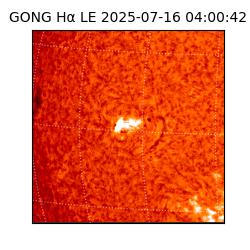 gong - 2025-07-16T04:00:42