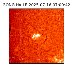 gong - 2025-07-16T07:00:42