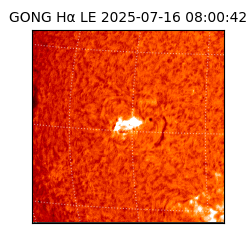 gong - 2025-07-16T08:00:42