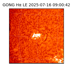 gong - 2025-07-16T09:00:42