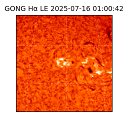 gong - 2025-07-16T01:00:42