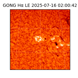 gong - 2025-07-16T02:00:42