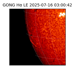 gong - 2025-07-16T03:00:42