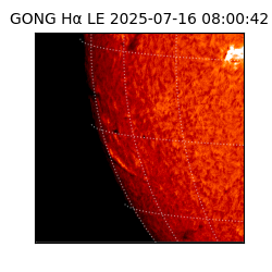 gong - 2025-07-16T08:00:42