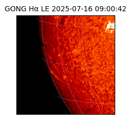 gong - 2025-07-16T09:00:42