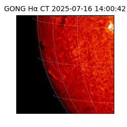 gong - 2025-07-16T14:00:42