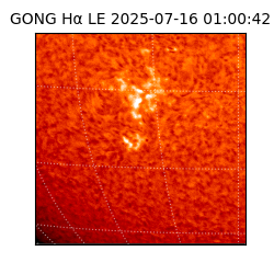 gong - 2025-07-16T01:00:42