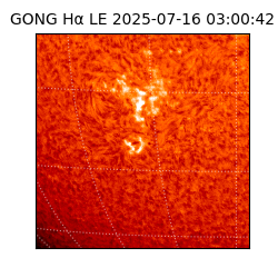 gong - 2025-07-16T03:00:42