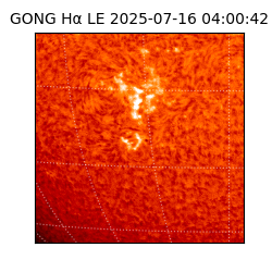 gong - 2025-07-16T04:00:42