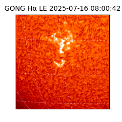 gong - 2025-07-16T08:00:42