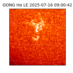 gong - 2025-07-16T09:00:42