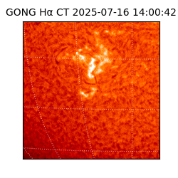 gong - 2025-07-16T14:00:42