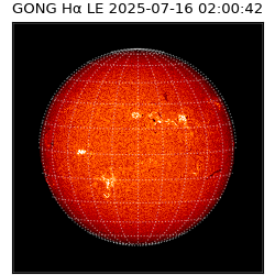 gong - 2025-07-16T02:00:42