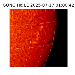 gong - 2025-07-17T01:00:42