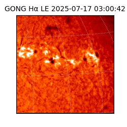 gong - 2025-07-17T03:00:42