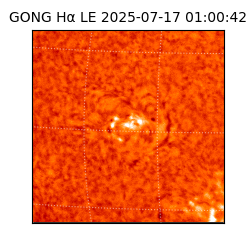 gong - 2025-07-17T01:00:42