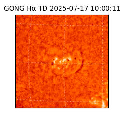 gong - 2025-07-17T10:00:11