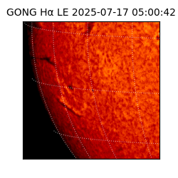gong - 2025-07-17T05:00:42