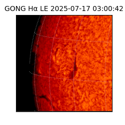 gong - 2025-07-17T03:00:42