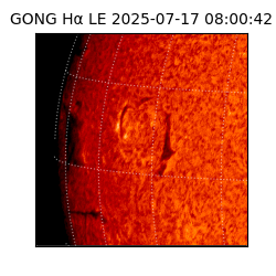 gong - 2025-07-17T08:00:42