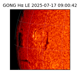 gong - 2025-07-17T09:00:42