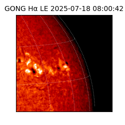 gong - 2025-07-18T08:00:42