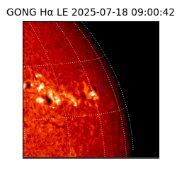 gong - 2025-07-18T09:00:42