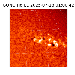 gong - 2025-07-18T01:00:42