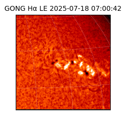 gong - 2025-07-18T07:00:42