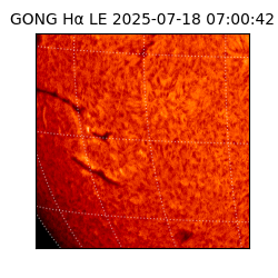 gong - 2025-07-18T07:00:42