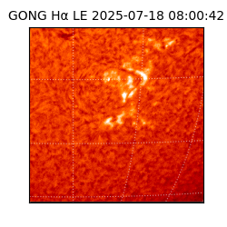 gong - 2025-07-18T08:00:42