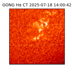 gong - 2025-07-18T14:00:42
