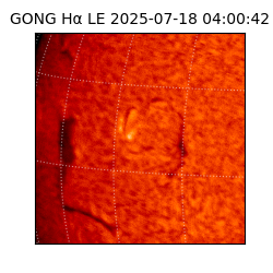 gong - 2025-07-18T04:00:42