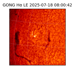 gong - 2025-07-18T08:00:42