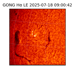 gong - 2025-07-18T09:00:42