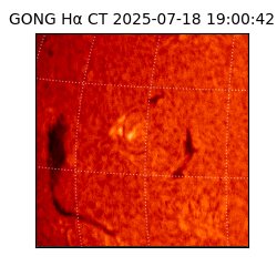 gong - 2025-07-18T19:00:42