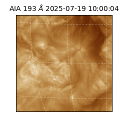 saia - 2025-07-19T10:00:04.835000