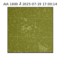 saia - 2025-07-19T17:00:14.125000