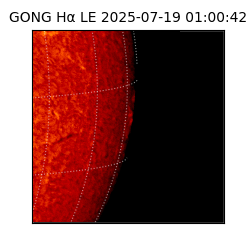 gong - 2025-07-19T01:00:42