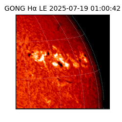 gong - 2025-07-19T01:00:42