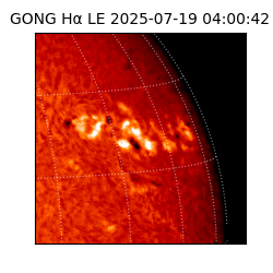 gong - 2025-07-19T04:00:42