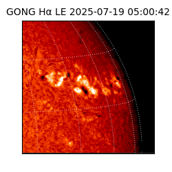 gong - 2025-07-19T05:00:42