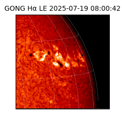gong - 2025-07-19T08:00:42
