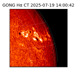gong - 2025-07-19T14:00:42