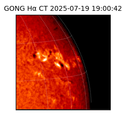 gong - 2025-07-19T19:00:42