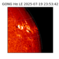 gong - 2025-07-19T23:53:42