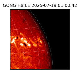 gong - 2025-07-19T01:00:42