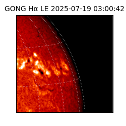 gong - 2025-07-19T03:00:42